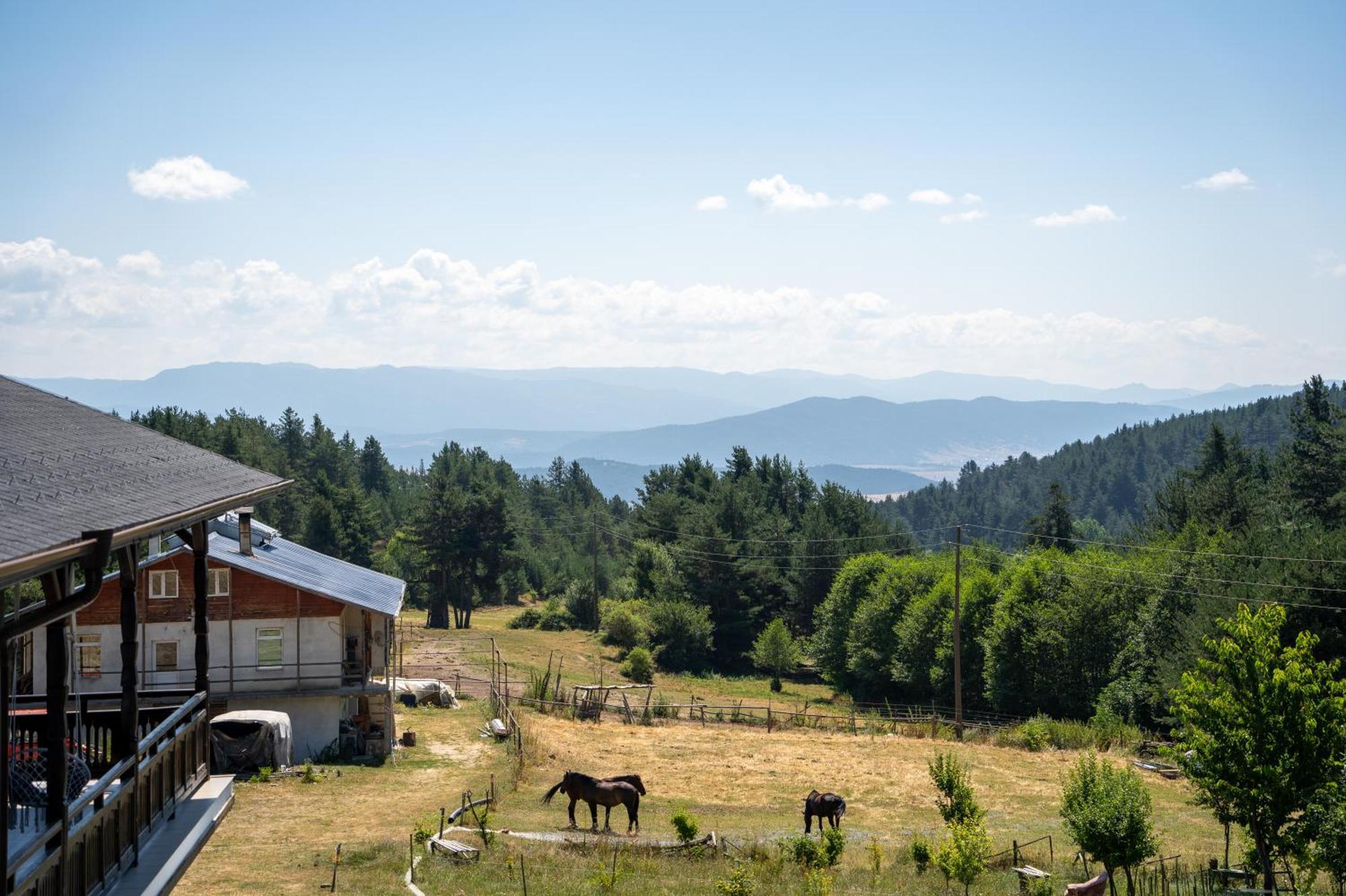 Rusaliite Adventure House Bachevo  Ngoại thất bức ảnh